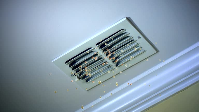 Best Residential Air Duct Cleaning  in Eagle Pass, TX